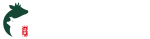 Damga